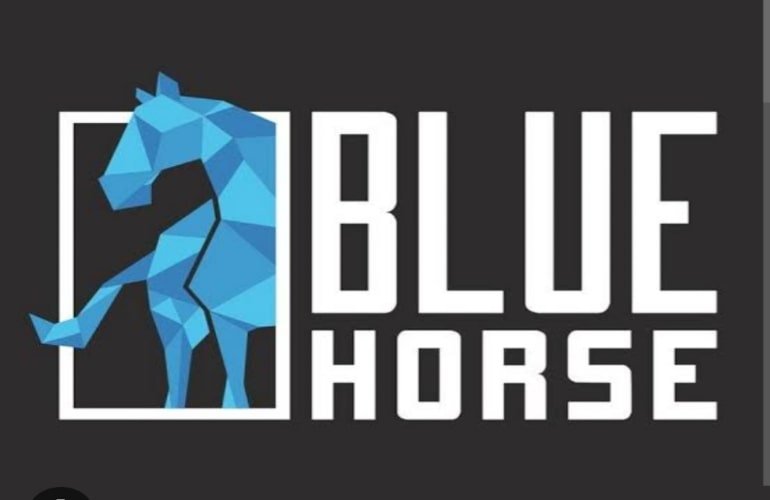 BlueHorse Software: Enabling Business Empowerment in the Digital Realm
